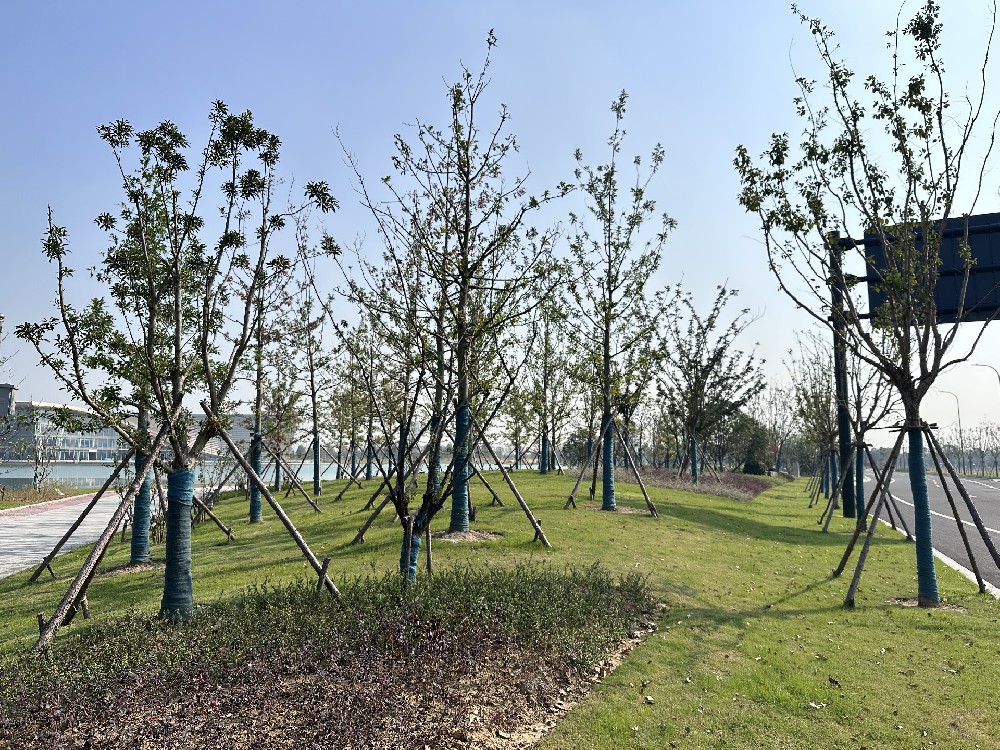 經開區城市客廳